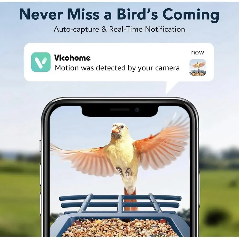 Peckcam watch birds